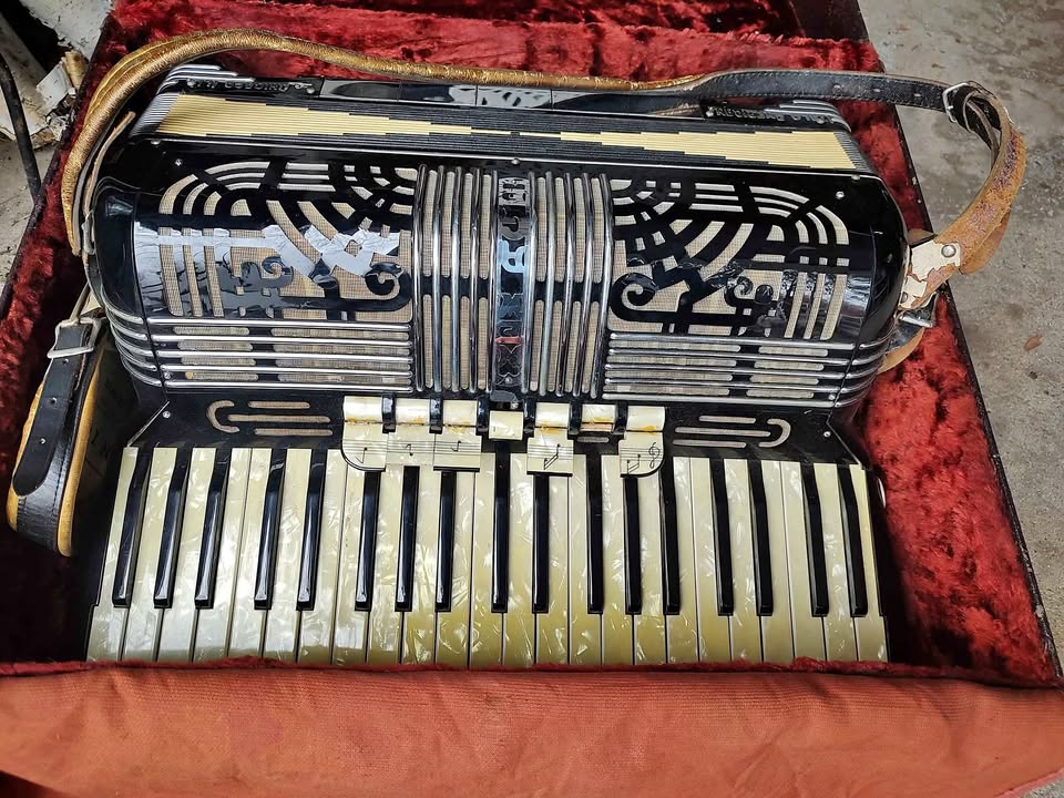 Ornate piano accordion with case